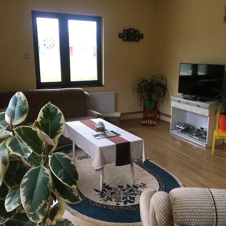 Apartament Zvezdica Bajina Basta Zewnętrze zdjęcie