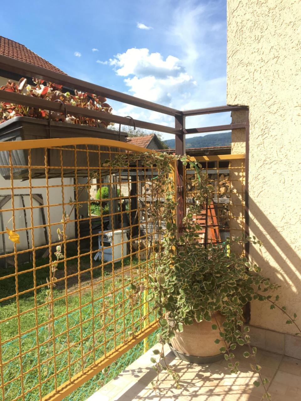 Apartament Zvezdica Bajina Basta Zewnętrze zdjęcie