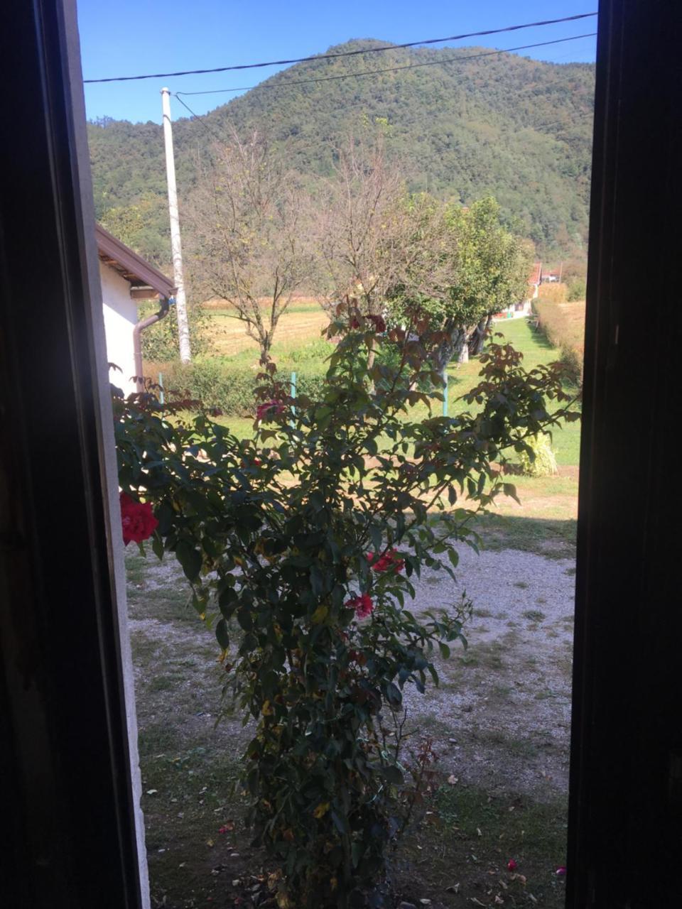 Apartament Zvezdica Bajina Basta Zewnętrze zdjęcie
