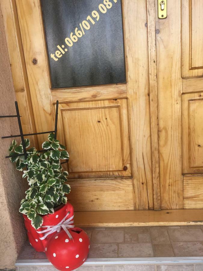 Apartament Zvezdica Bajina Basta Zewnętrze zdjęcie